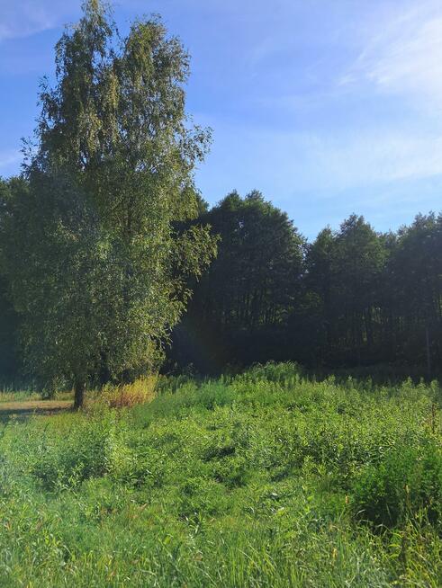 Działka budowlana Pęclin gm. Wiązowna