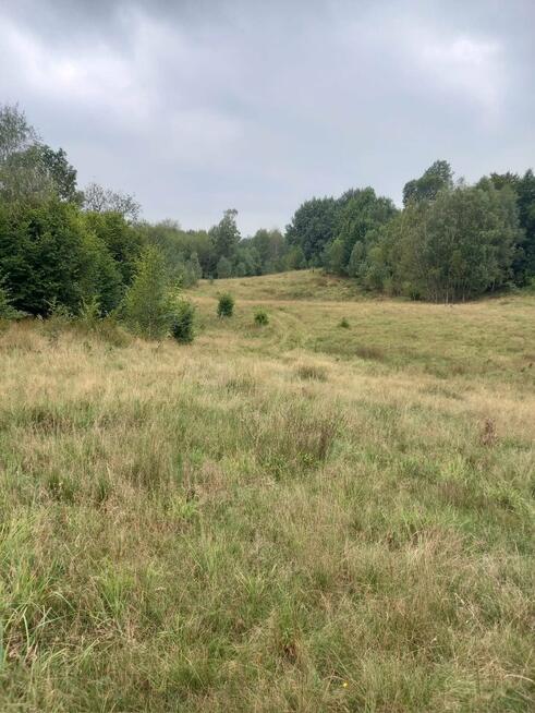 Działka siedliskowa Dłusko gm. Węgorzyno