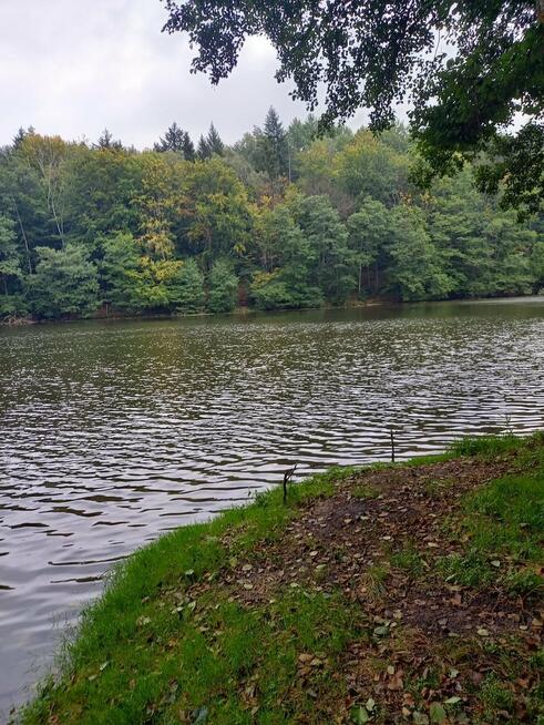 Działka siedliskowa Dłusko gm. Węgorzyno