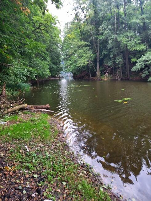 Działka siedliskowa Dłusko gm. Węgorzyno