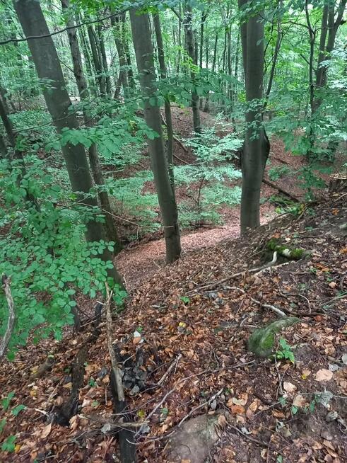 Działka siedliskowa Dłusko gm. Węgorzyno