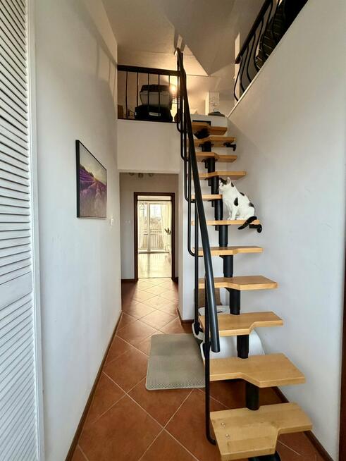 Mieszkanie Mierzyn gm. Dobra (Szczecińska)