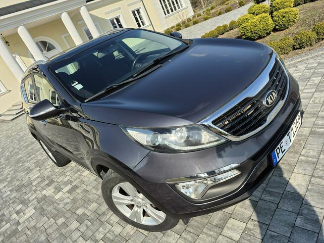 Kia Sportage 1.6 benzyna kamera ledy