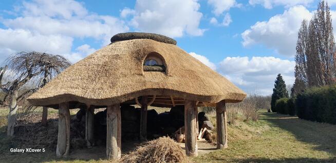 Altana kryta strzechą