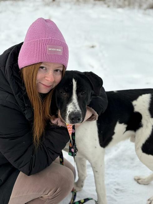 Apollo - wielki pies z wielkim sercem!