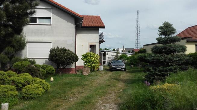 wynajem domu w Ostrów Wlkp.