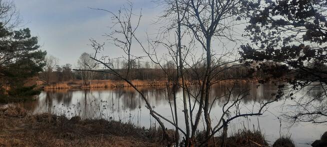 Hotelik na Pieknej Piaseczno