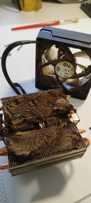 Serwis Komputerowy, serwis drukarek, serwis XBox/PS/Nintendo