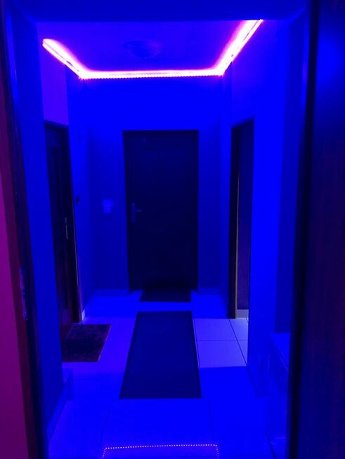 Kwatery na wynajem !!!