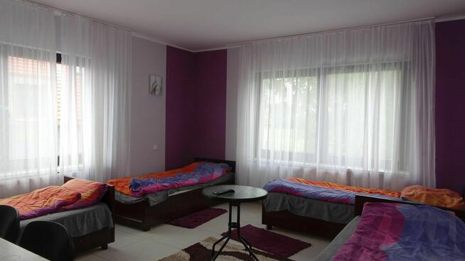 Kwatery na wynajem !!!