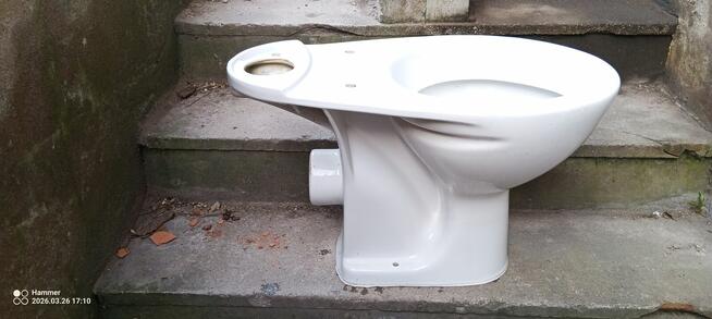 muszle wc umywalki i spłuczki