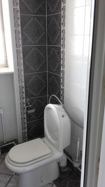 wynajem domu w Ostrów Wlkp.