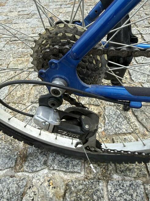 Rower miejski Wheeler damka