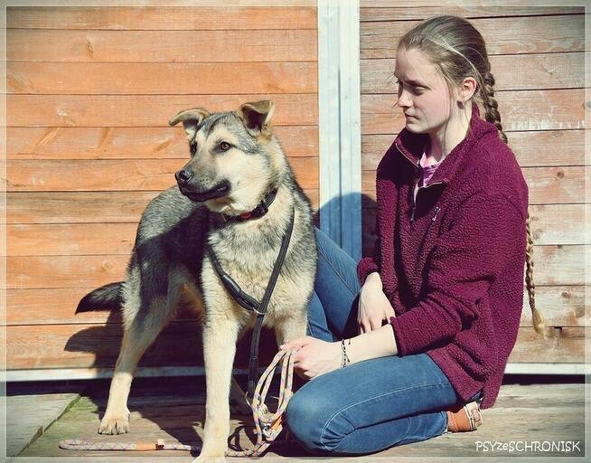 Alan - ufny przytulas czeka na Twoją miłość