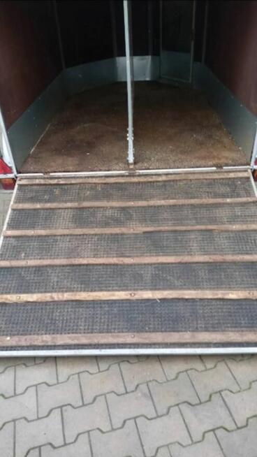 Przyczepka do przewozu koni