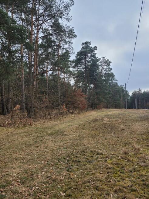 Działki budowlane Koziegłowy