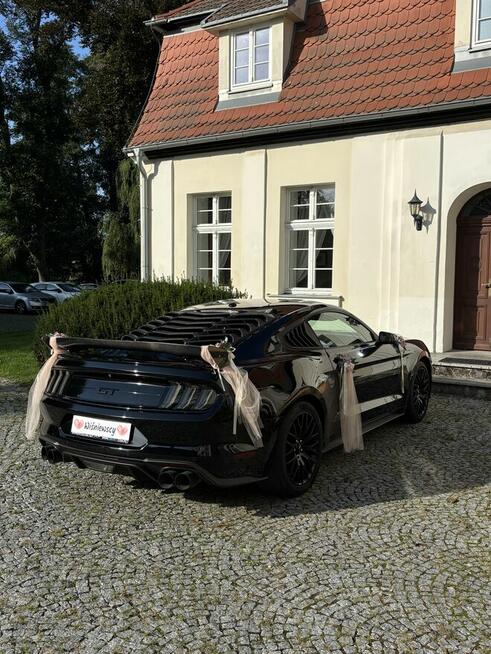 Wynajem Wypożyczenie RAM 1500 Ford Mustang GT 5.0 - DRIVE IT