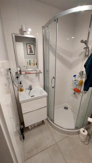 Oferuję pokój do wynajęcia