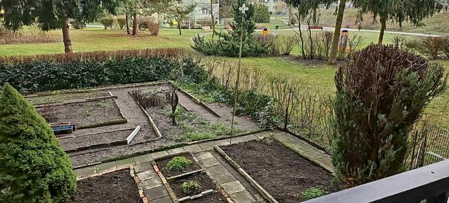 3 Pokoje | Fordon Sucharskiego | PRYWATNY OGRÓDEK | Bez Gazu