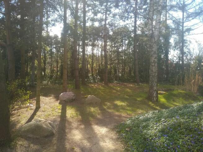 05-462 Wiązowna k/ Warszawy Dom do remontu dzialka 1305m2