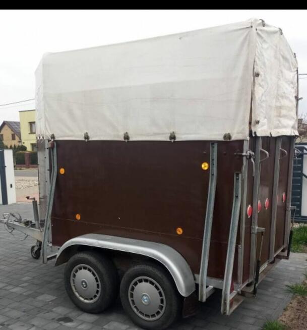 Przyczepka do przewozu koni