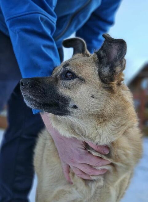 Marzę o spokojnym domu i spacerach po łące! - Hania