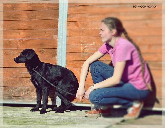 Amelka - dzielny szczeniaczek spragniony Twojej bliskości