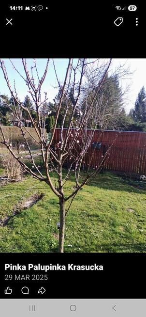 Sprzedam działkę reakracyjna