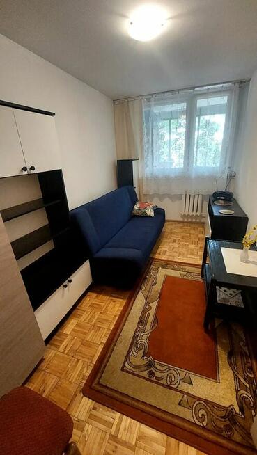 Oferuję pokój do wynajęcia