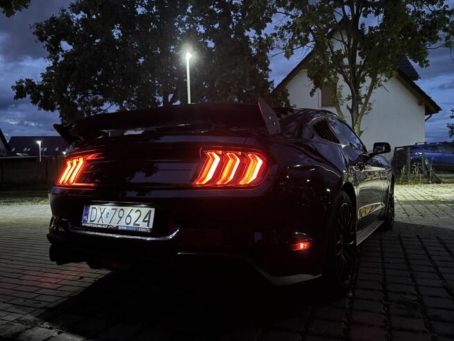 Wynajem Wypożyczenie RAM 1500 Ford Mustang GT 5.0 - DRIVE IT