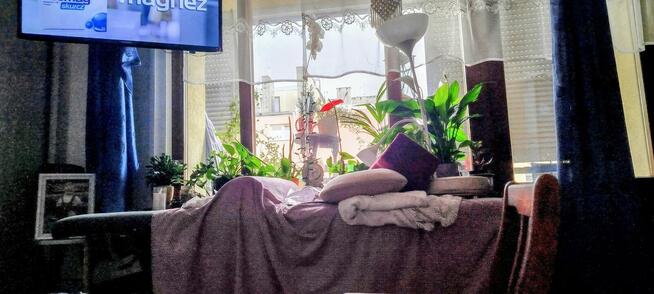 Fizjoterapia/masaże