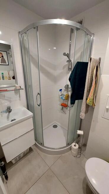 Oferuję pokój do wynajęcia