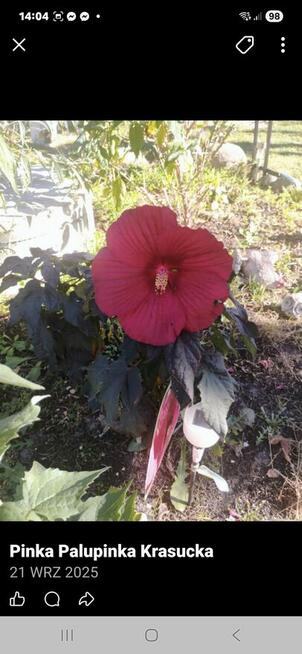 Sprzedam działkę reakracyjna