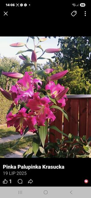 Sprzedam działkę reakracyjna