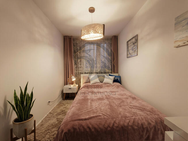 Wilcza Symfonia Światła rano i wieczorem