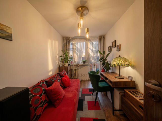 Wilcza Symfonia Światła rano i wieczorem