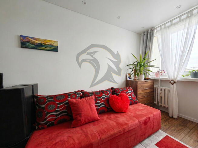 Wilcza Symfonia Światła rano i wieczorem