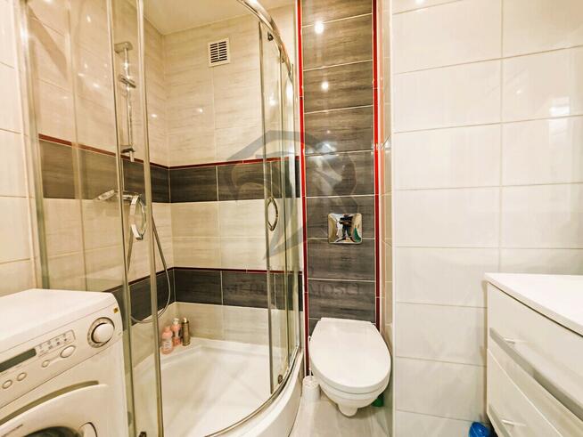 Wilcza Symfonia Światła rano i wieczorem