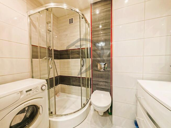 Wilcza Symfonia Światła rano i wieczorem