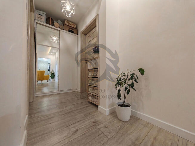 Wilcza Symfonia Światła rano i wieczorem