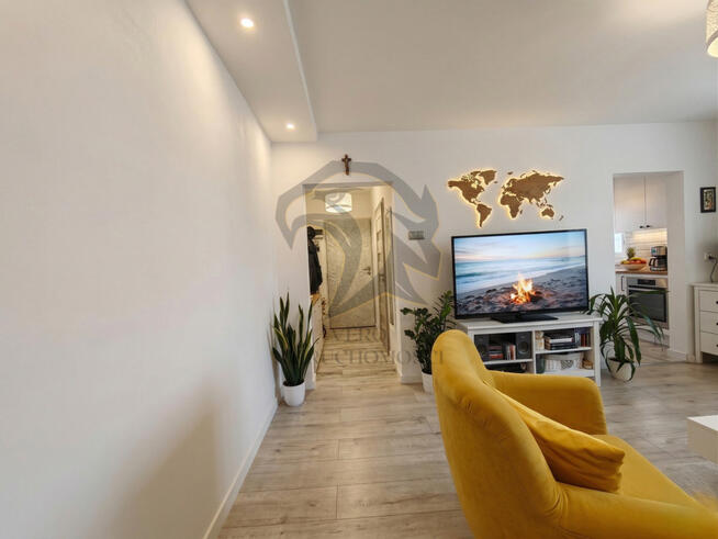 Wilcza Symfonia Światła rano i wieczorem