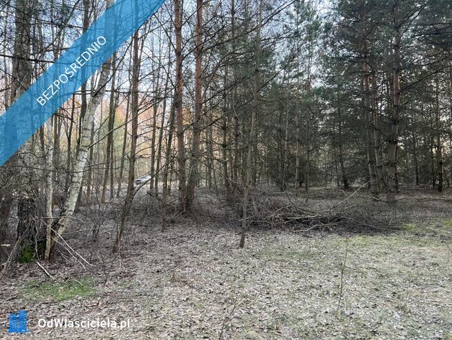 Działka budowlana w miejscowości Wola Pieczyska, 1335m2, tylko 1h od Warszawy, w spokojnym miejscu