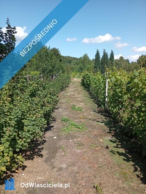 sprzedam działkę budowlaną