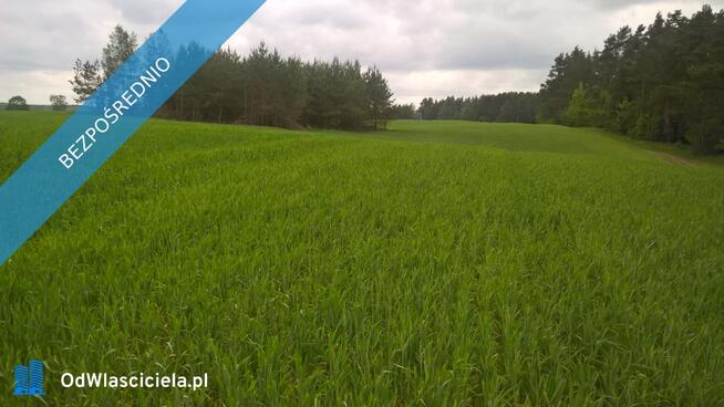 Mazury!! Stare Juchy działki 3000m2 w okolicach jeziora Garbas położone przy lesie