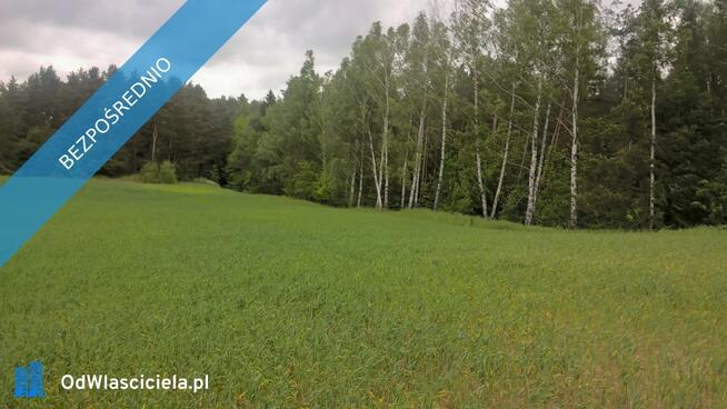 Mazury!! Stare Juchy działki 3000m2 w okolicach jeziora Garbas położone przy lesie