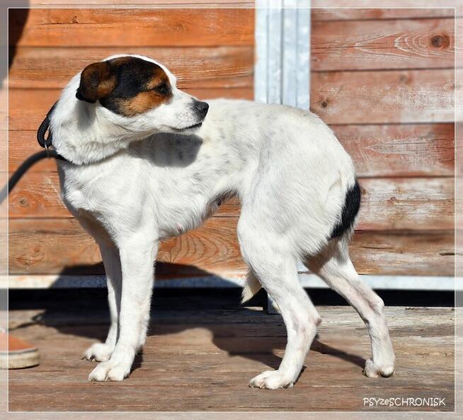 Kaja - wrażliwa piękność o wielkim sercu