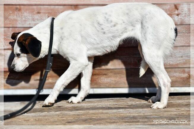 Kaja - wrażliwa piękność o wielkim sercu