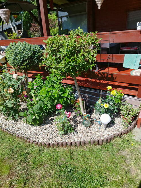 Działka ROD Grochowa