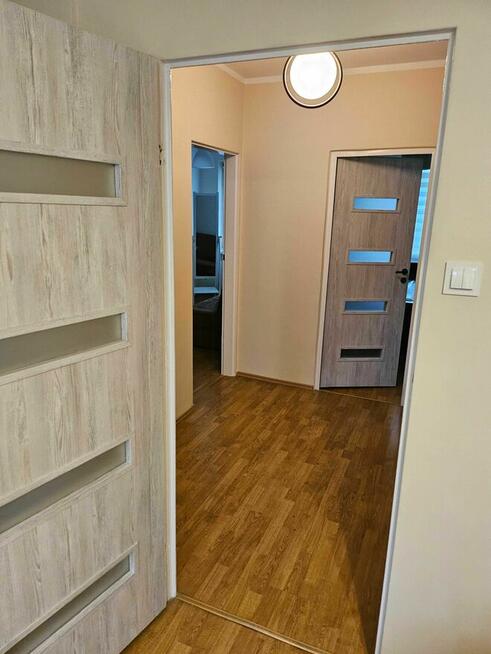 3 Pokoje | Fordon Sucharskiego | PRYWATNY OGRÓDEK | Bez Gazu