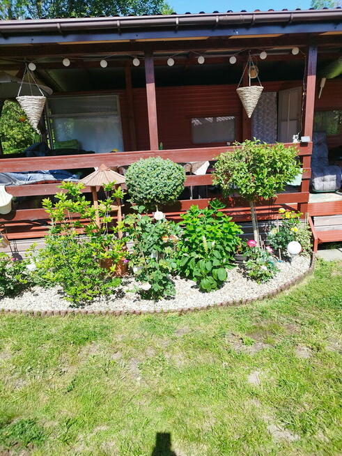 Działka ROD Grochowa